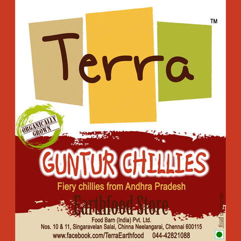 Terra-Guntur Chilli