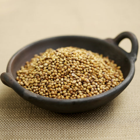 Terra-Coriander Seeds