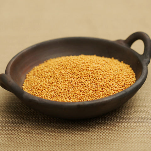 Terra-Yellow Mustard