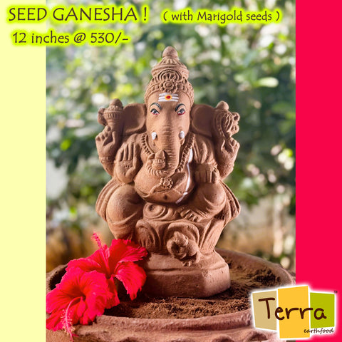 Terra-Seed Ganesha 12 inch