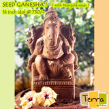 Terra Seed Ganesha 16 inch