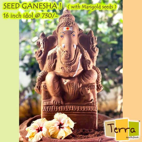 Terra Seed Ganesha 16 inch