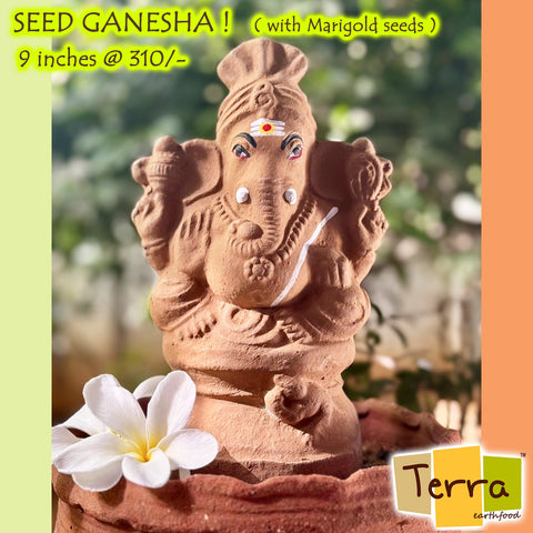 Terra-Seed Ganesha 9 inch
