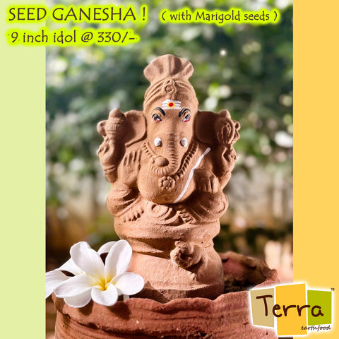 Terra-Seed Ganesha 9 inch