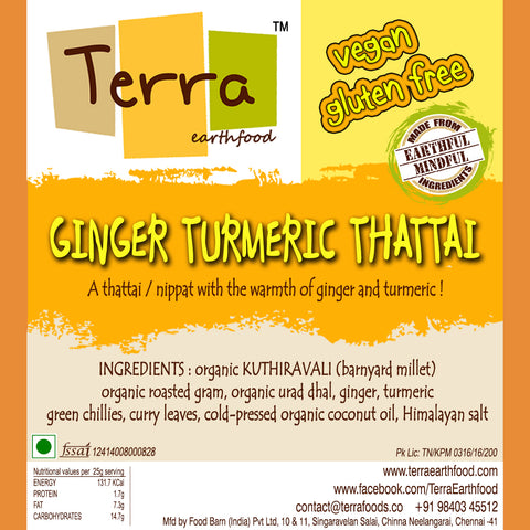 Terra-Ginger Turmeric Crisps