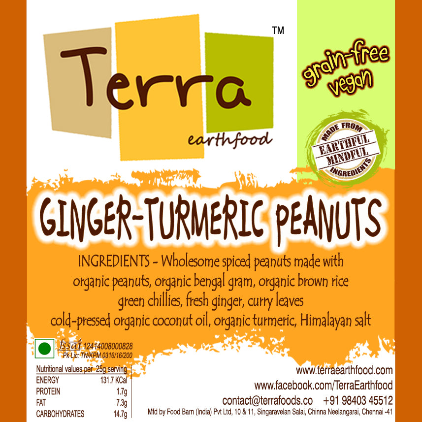 Terra-Ginger Peanuts – Terra Earthfood