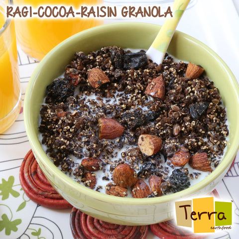 Terra-Ragi Cocoa Granola
