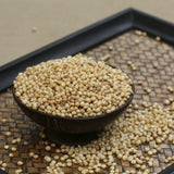 Terra-Jowar