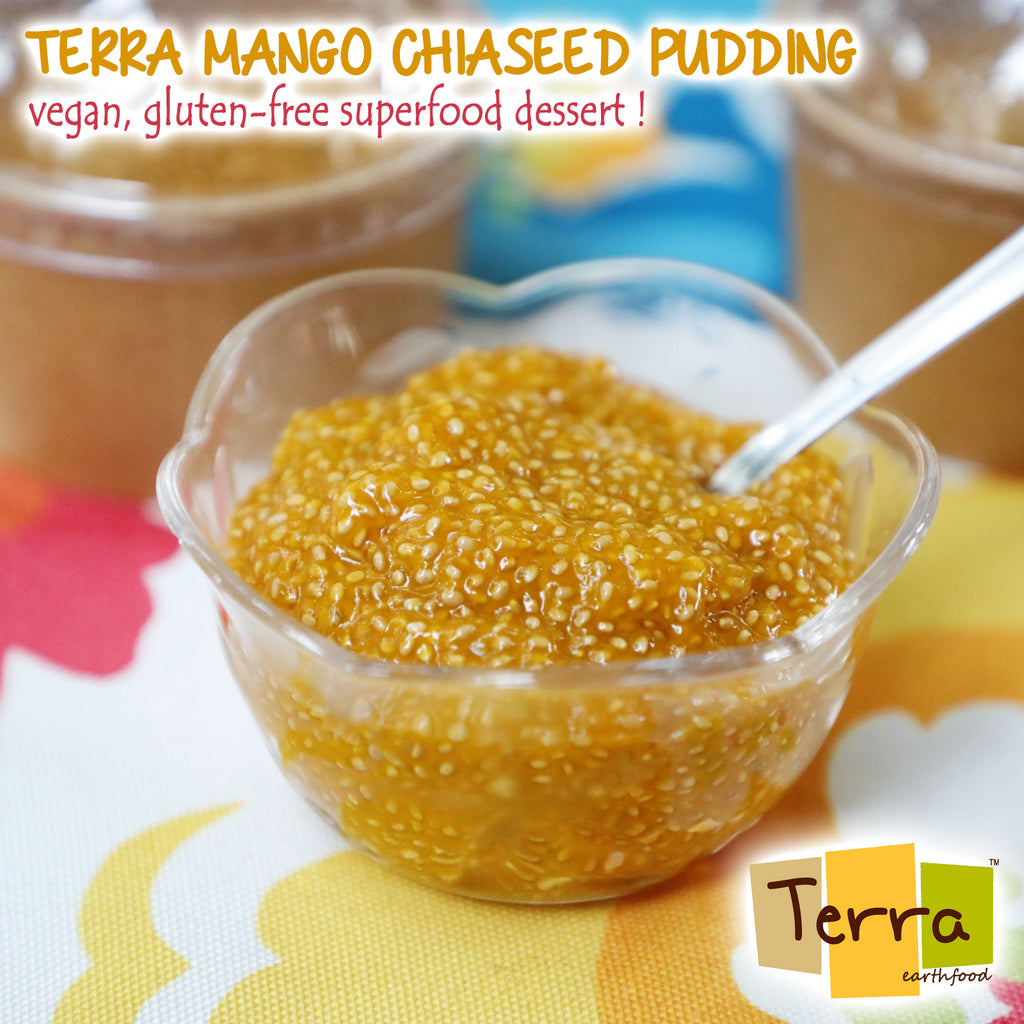Terra-Mango Chia Seed pudding