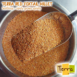 Terra-Red Foxtail Millet