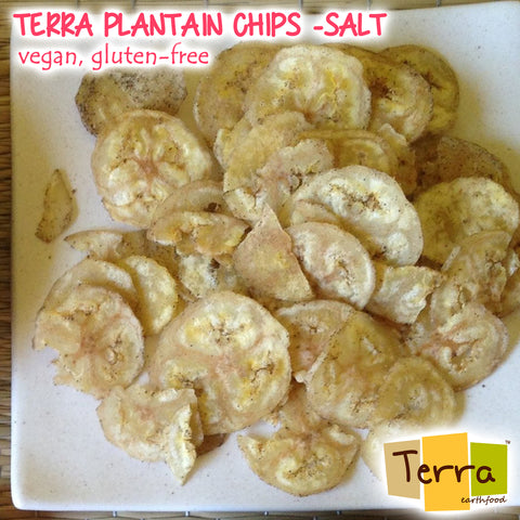 Terra-Plantain Chips Salted