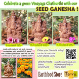 Terra Seed Ganesha 16 inch