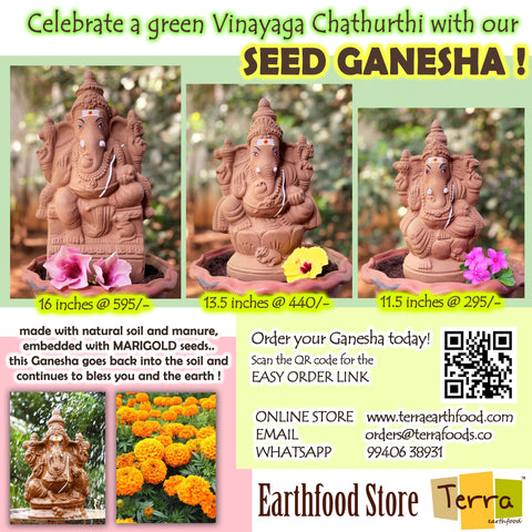 Terra-Seed Ganesha 13.5 inch