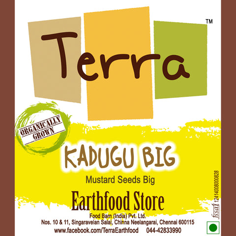 Terra-Kadugu Big