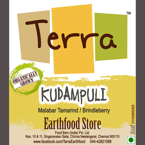 Terra-Kudampuli