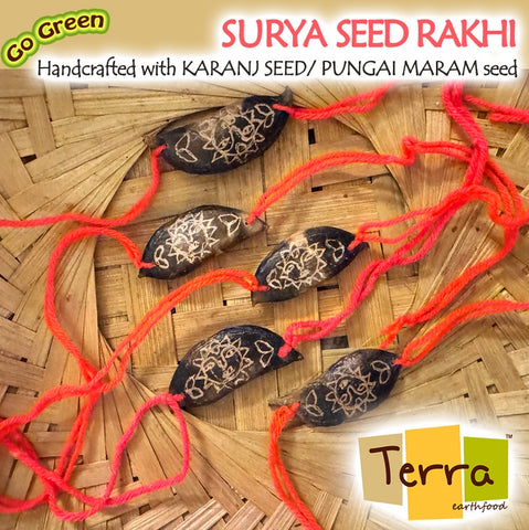 Terra-Surya Deisgn Seed Rakhi