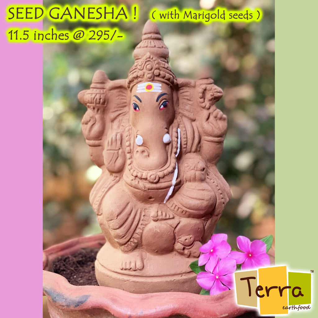 Terra-Seed Ganesha 11.5 inch
