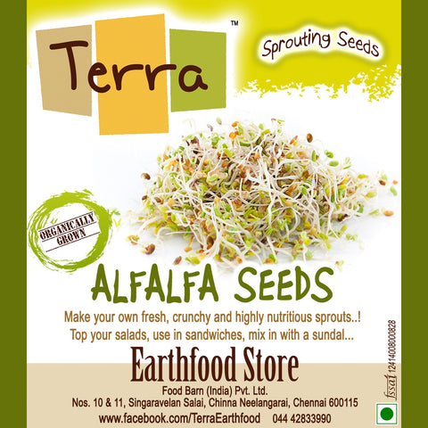 Terra-Alfalfa Seeds
