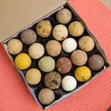 Terra-Combination Box E