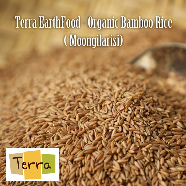Terra-Bamboo Rice – Terra Earthfood