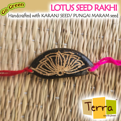 Terra-Lotus Design Seed Rakhi
