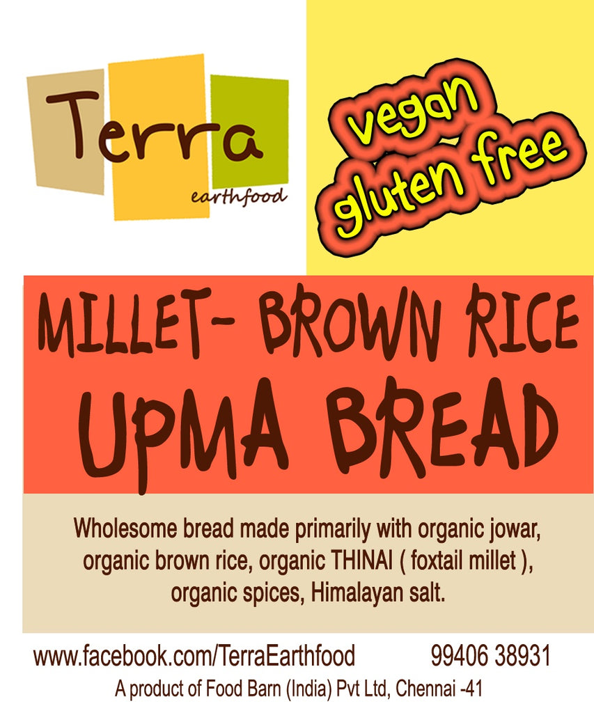 Terra-Upma Bread (GF, Vegan)